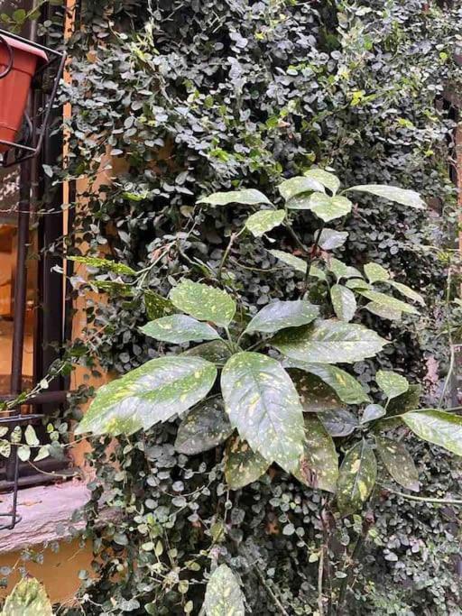 Loft Di Design Nel Cuore Di Milano Extérieur photo